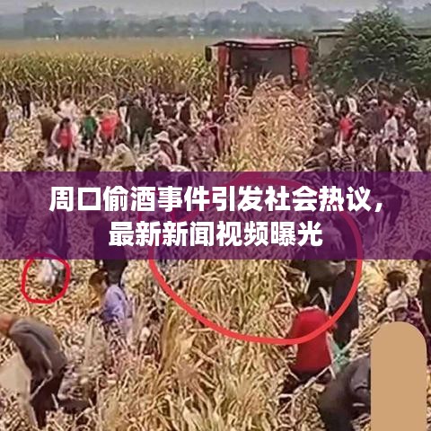 周口偷酒事件引发社会热议，最新新闻视频曝光