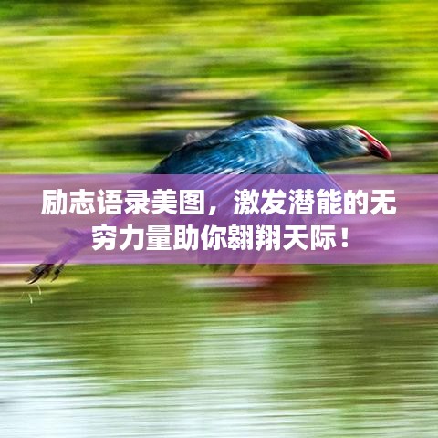 励志语录美图,激发潜能的无穷力量助你翱翔天际!