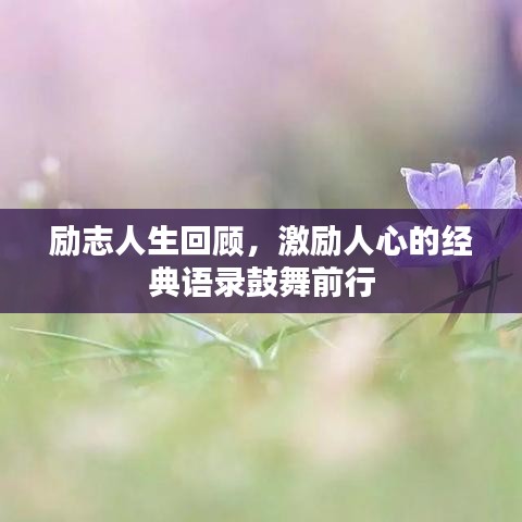 励志人生回顾,激励人心的经典语录鼓舞前行