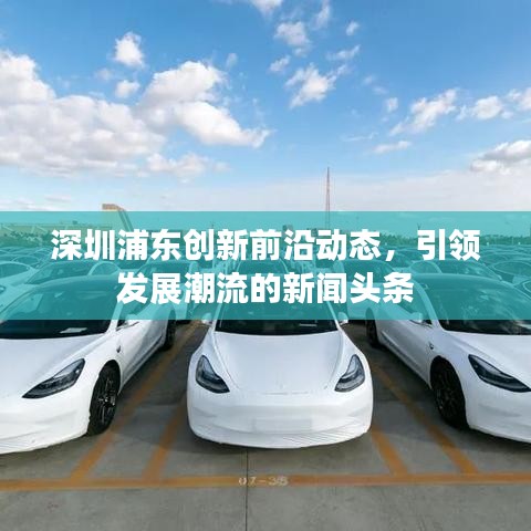 深圳浦东创新前沿动态，引领发展潮流的新闻头条