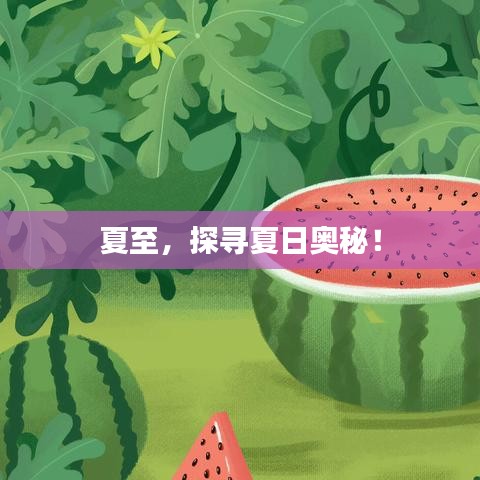 夏至，探寻夏日奥秘！