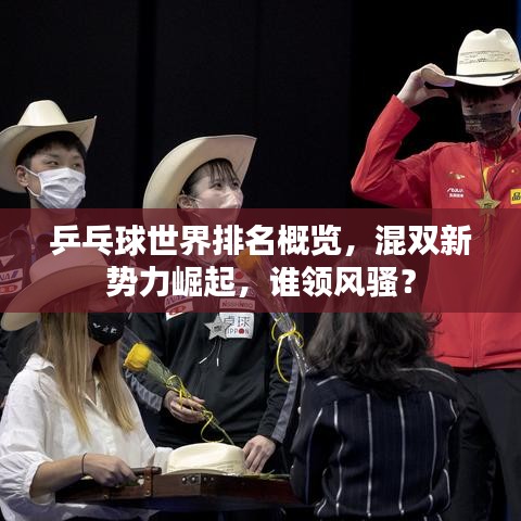 乒乓球世界排名概览，混双新势力崛起，谁领风骚？
