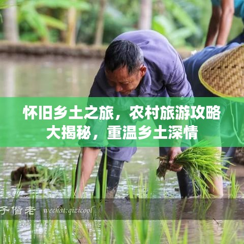 怀旧乡土之旅，农村旅游攻略大揭秘，重温乡土深情