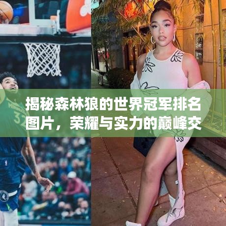 揭秘森林狼的世界冠军排名图片,荣耀与实力的巅峰交汇