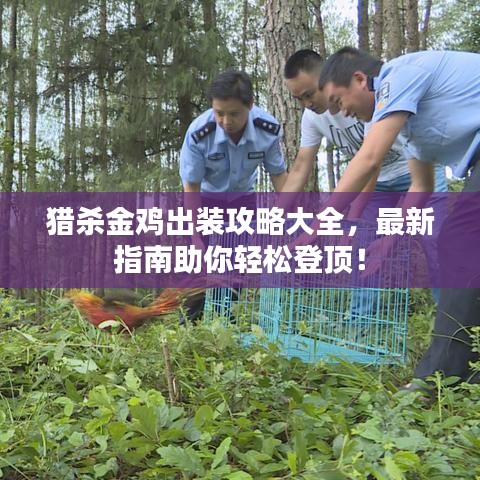 猎杀金鸡出装攻略大全,最新指南助你轻松登顶!