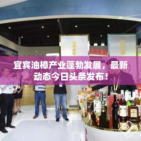 鞭驽策蹇 第3页