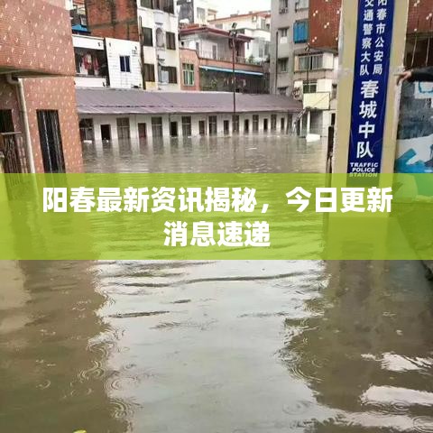 阳春最新资讯揭秘，今日更新消息速递