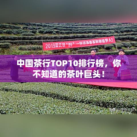 中国茶行TOP10排行榜,你不知道的茶叶巨头!