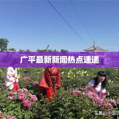 广平最新新闻热点速递
