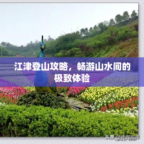 江津登山攻略,畅游山水间的极致体验