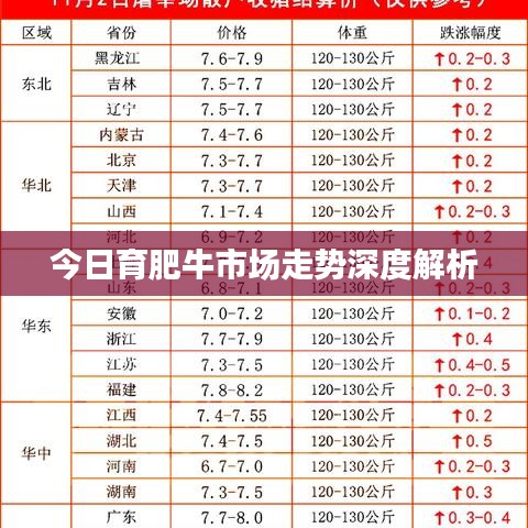 今日育肥牛市场走势深度解析