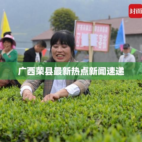 广西荣县最新热点新闻速递