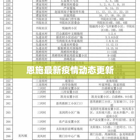 恩施最新疫情动态更新