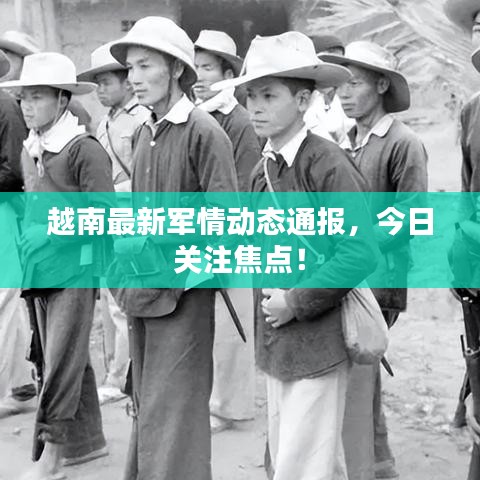 越南最新军情动态通报，今日关注焦点！