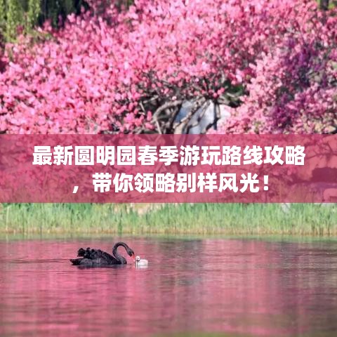 津津有味 第3页