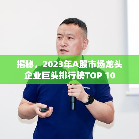 揭秘,2023年A股市场龙头企业巨头排行榜TOP 10