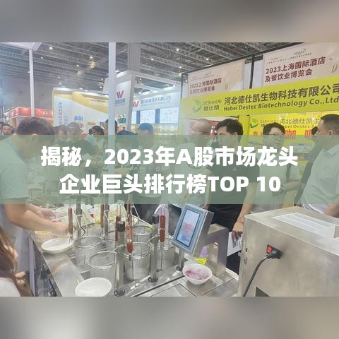 揭秘,2023年A股市场龙头企业巨头排行榜TOP 10