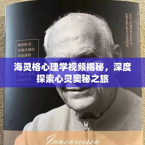 海灵格心理学视频揭秘,深度探索心灵奥秘之旅