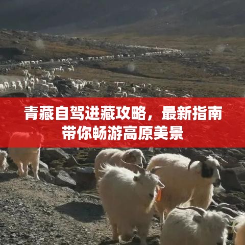青藏自驾进藏攻略,最新指南带你畅游高原美景