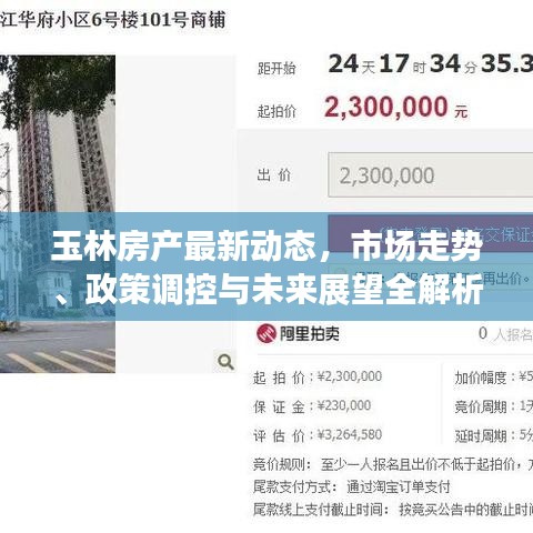 玉林房产最新动态，市场走势、政策调控与未来展望全解析