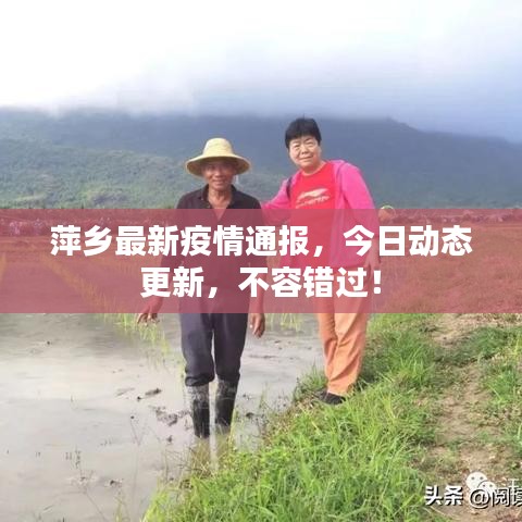 萍乡最新疫情通报，今日动态更新，不容错过！