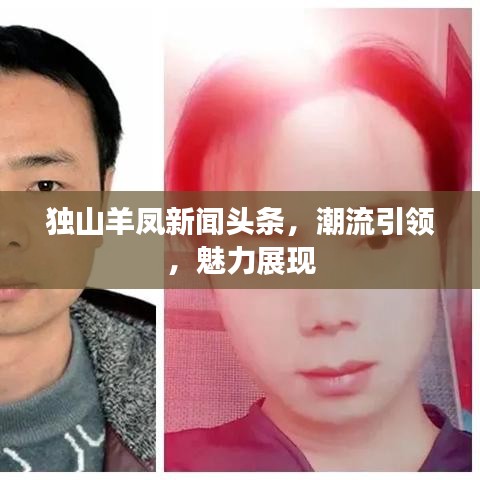 独山羊凤新闻头条,潮流引领,魅力展现