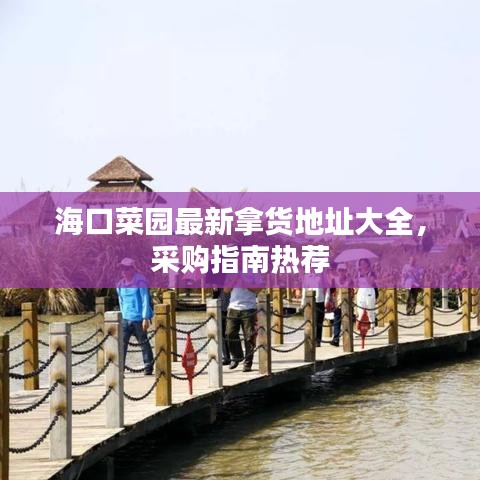 海口菜园最新拿货地址大全,采购指南热荐