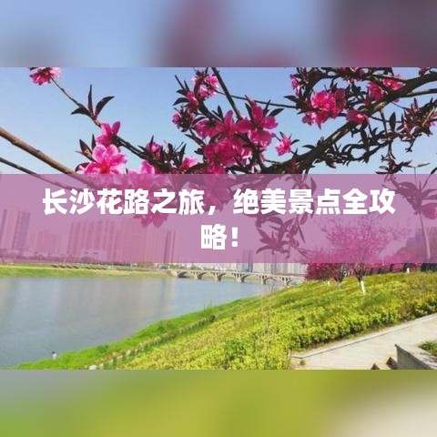 长沙花路之旅，绝美景点全攻略！