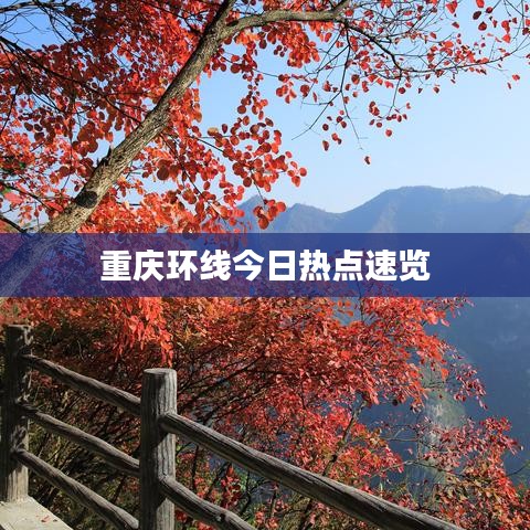 重庆环线今日热点速览