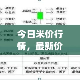 今日米价行情，最新价格走势分析、市场影响因素全解析