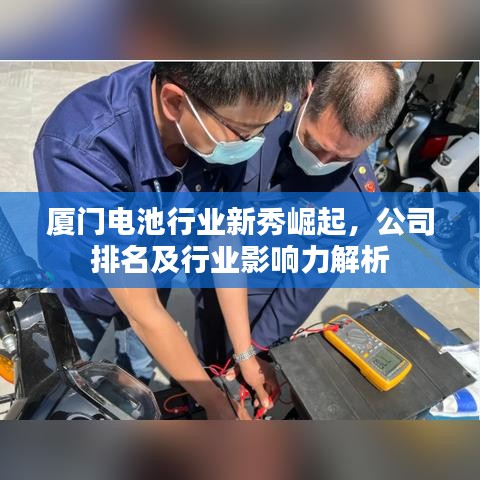 厦门电池行业新秀崛起，公司排名及行业影响力解析