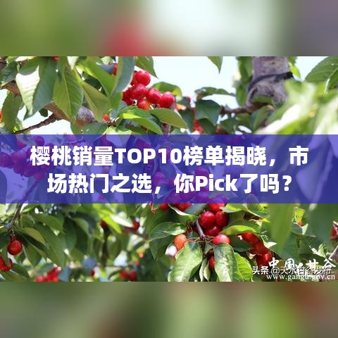 樱桃销量TOP10榜单揭晓，市场热门之选，你Pick了吗？