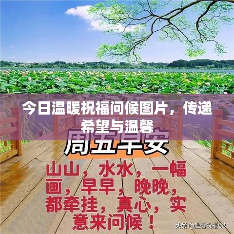 今日温暖祝福问候图片，传递希望与温馨