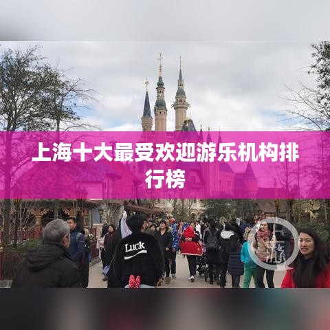 上海十大最受欢迎游乐机构排行榜