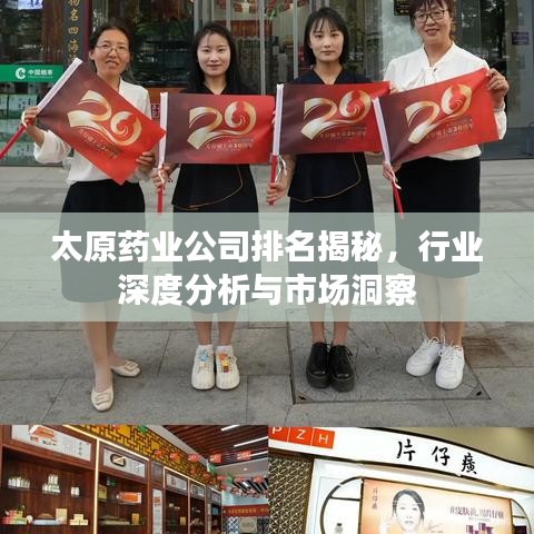 太原药业公司排名揭秘,行业深度分析与市场洞察