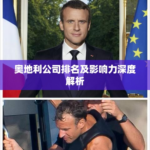 奥地利公司排名及影响力深度解析