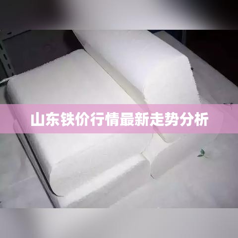 山东铁价行情最新走势分析