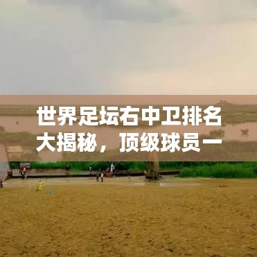 世界足坛右中卫排名大揭秘,顶级球员一览无余!