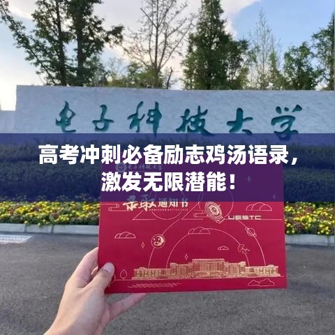 高考冲刺必备励志鸡汤语录，激发无限潜能！