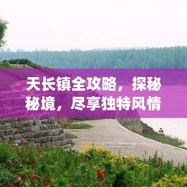 天长镇全攻略，探秘秘境，尽享独特风情！