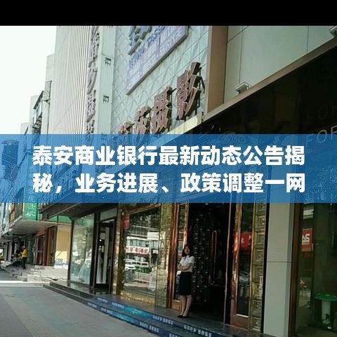 泰安商业银行最新动态公告揭秘，业务进展、政策调整一网打尽