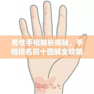 毛手毛脚 第3页