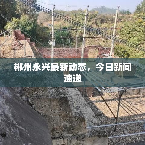 一席之地 第3页