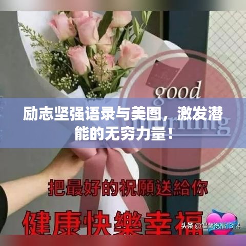 励志坚强语录与美图，激发潜能的无穷力量！