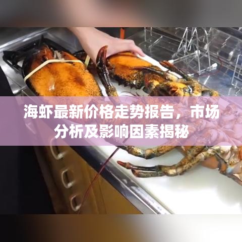 海虾最新价格走势报告，市场分析及影响因素揭秘