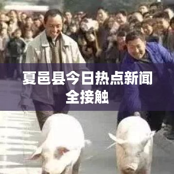 夏邑县今日热点新闻全接触