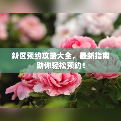 新区预约攻略大全,最新指南助你轻松预约!