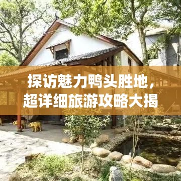 探访魅力鸭头胜地，超详细旅游攻略大揭秘！