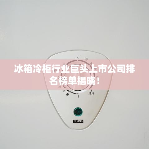 冰箱冷柜行业巨头上市公司排名榜单揭晓！
