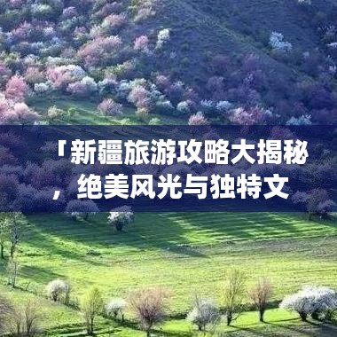 「新疆旅游攻略大揭秘,绝美风光与独特文化体验」